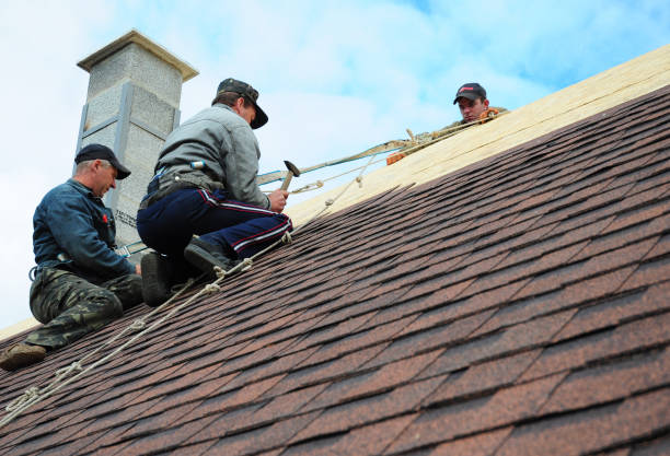 Quick and Trustworthy Emergency Roof Repair Services in American Fork, UT